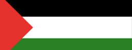Supporting Palestine